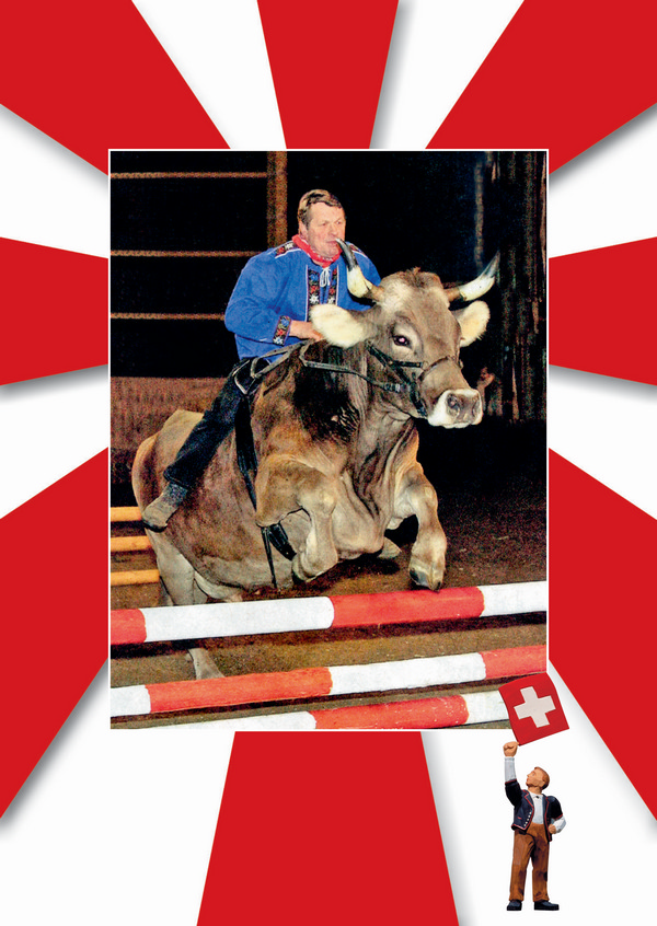 Postkarte · Schweiz · Humor · Kuh Reiter Stierkampf