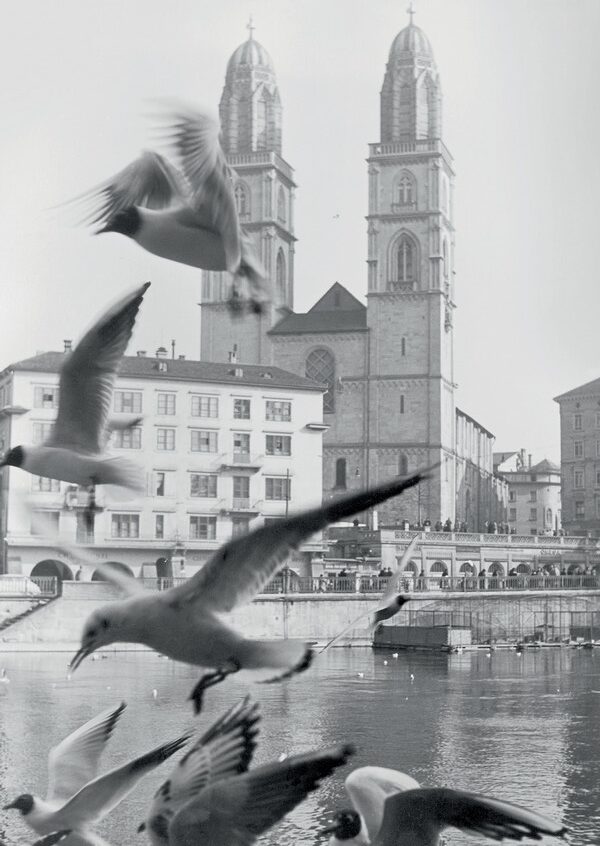 Postkarte · Zuerich · Grossmuenster · Moewe Limmat